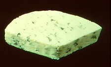 19-3 blue cheese.jpg (3600 bytes)