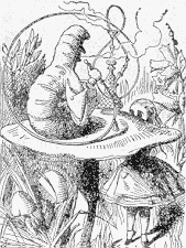 22-26 Alice and the caterpillar.gif (11093 bytes)